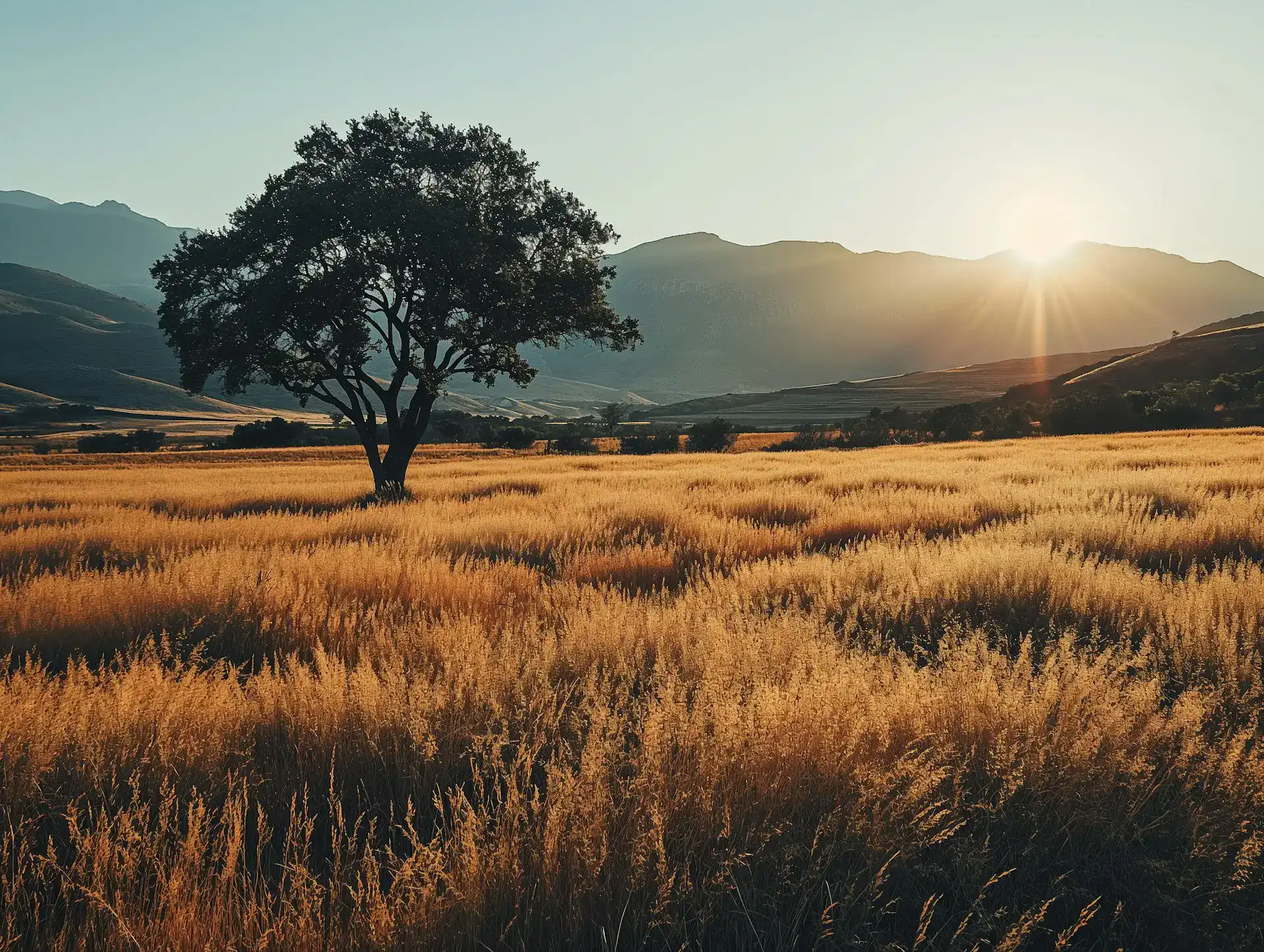 A Guide to Online Privacy in 2024 (new conditions)